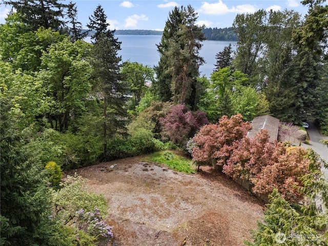 4150 Boulevard Pl, Mercer Island, WA 98040 - photo 1