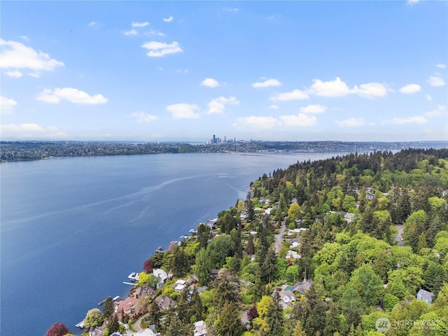 4150 Boulevard Pl, Mercer Island, WA 98040 - photo 4