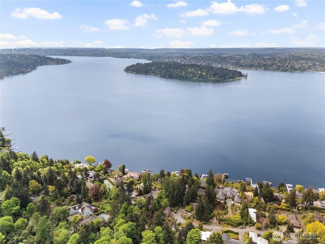 4150 Boulevard Pl, Mercer Island, WA 98040 - photo 5