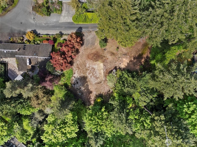 4150 Boulevard Pl, Mercer Island, WA 98040 - photo 6