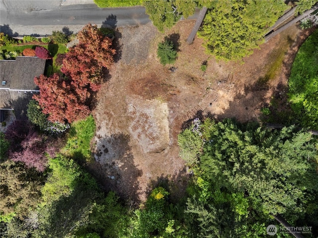 4150 Boulevard Pl, Mercer Island, WA 98040 - photo 9