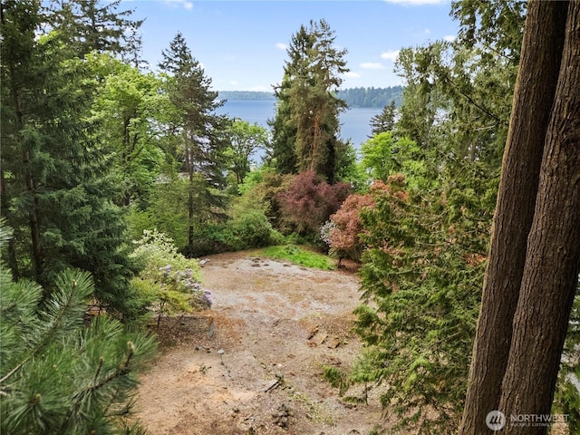4150 Boulevard Pl, Mercer Island, WA 98040 - photo 10