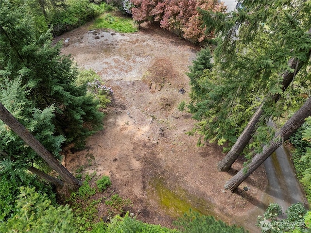4150 Boulevard Pl, Mercer Island, WA 98040 - photo 11