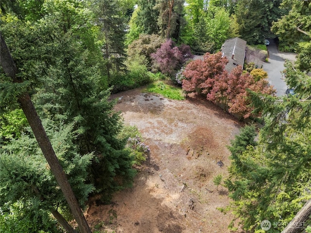 4150 Boulevard Pl, Mercer Island, WA 98040 - photo 12