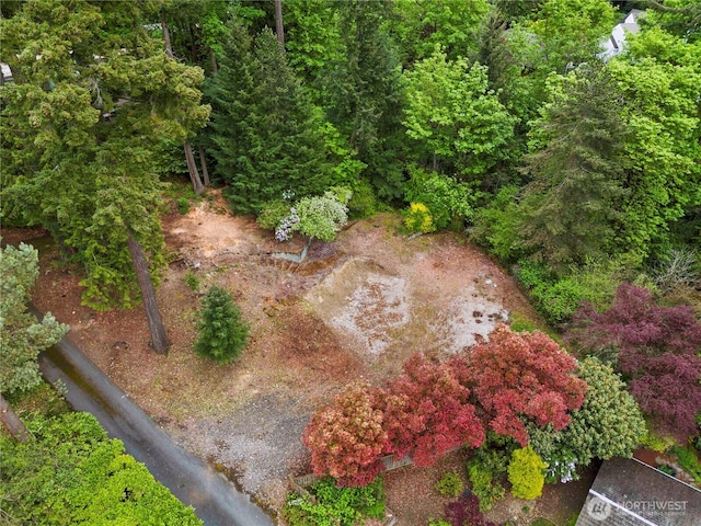 4150 Boulevard Pl, Mercer Island, WA 98040 - photo 13