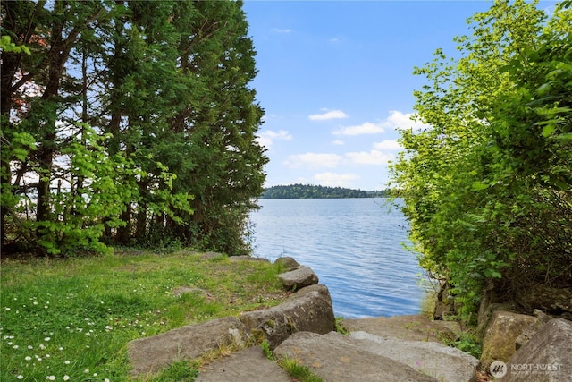4150 Boulevard Pl, Mercer Island, WA 98040 - photo 14