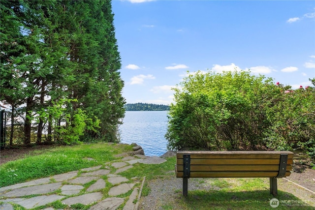 4150 Boulevard Pl, Mercer Island, WA 98040 - photo 15