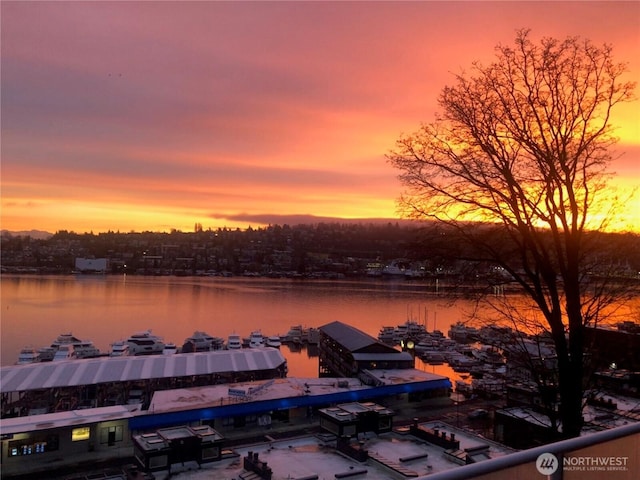 2120 8th Ave N Unit 301, Seattle, WA 98109 - photo 40