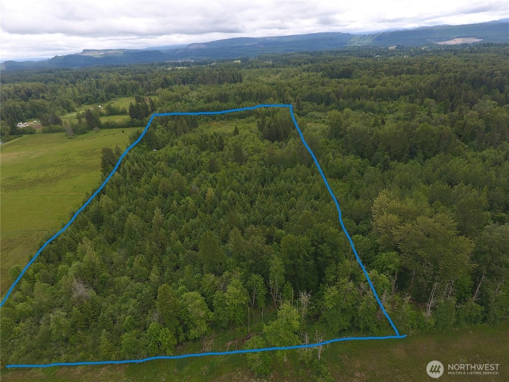 0 128th Avenue Ct E, Graham, WA 98338 - photo 1