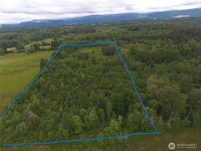 0 128th Avenue Ct E, Graham, WA 98338 - photo 1