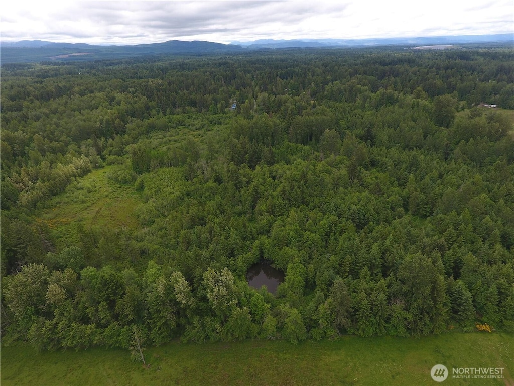 0 128th Avenue Ct E, Graham, WA 98338 - photo 2