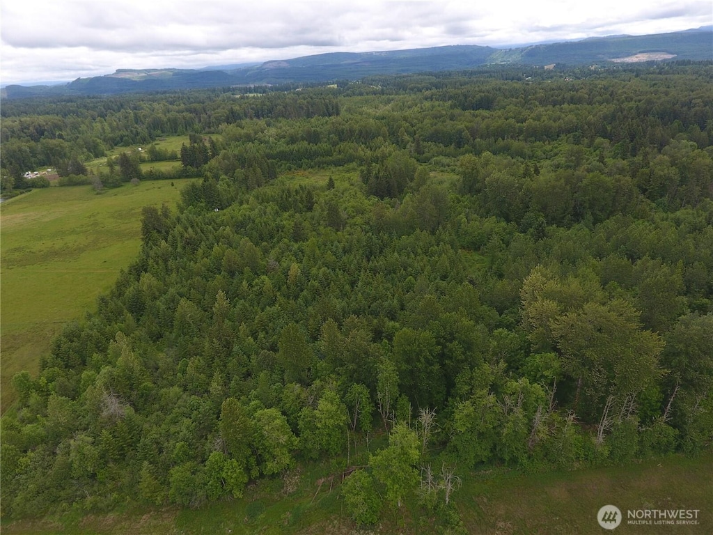 0 128th Avenue Ct E, Graham, WA 98338 - photo 3