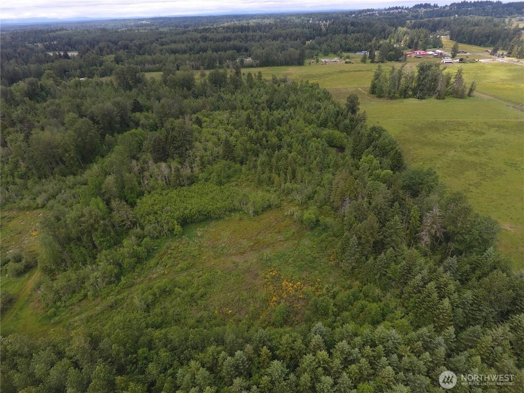 0 128th Avenue Ct E, Graham, WA 98338 - photo 4