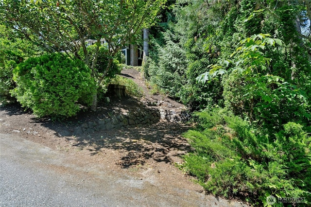 18945 NE 20th Ct, Redmond, WA 98052 - photo 36