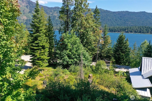 1 Cedar Brae Rd, Leavenworth, WA 98826 - photo 1