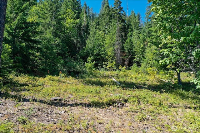 1 Cedar Brae Rd, Leavenworth, WA 98826 - photo 3