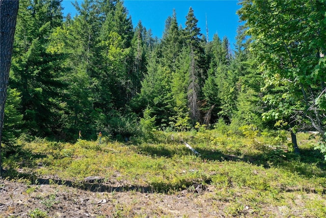 1 Cedar Brae Rd, Leavenworth, WA 98826 - photo 4