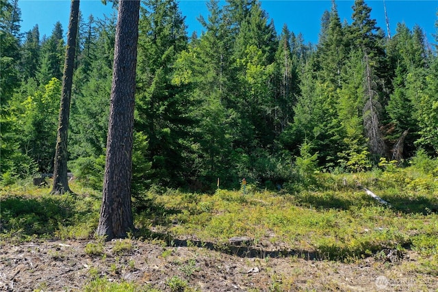 1 Cedar Brae Rd, Leavenworth, WA 98826 - photo 5