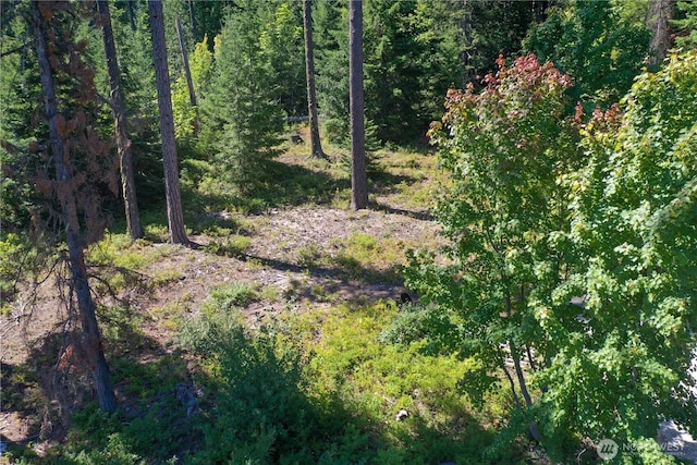 1 Cedar Brae Rd, Leavenworth, WA 98826 - photo 6