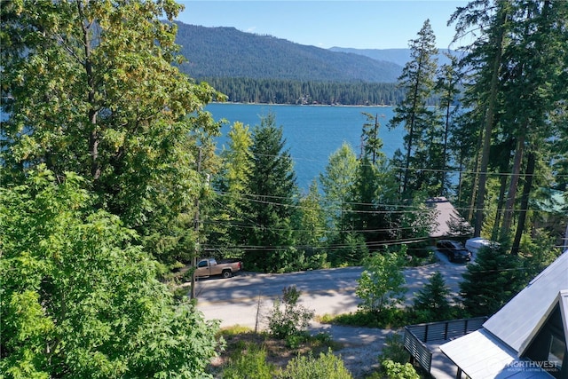 1 Cedar Brae Rd, Leavenworth, WA 98826 - photo 2