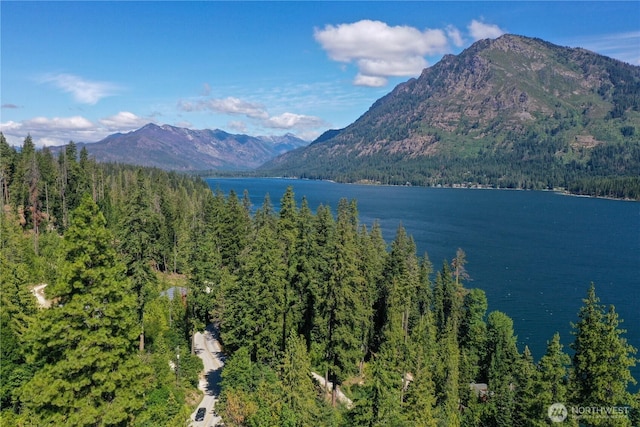 1 Cedar Brae Rd, Leavenworth, WA 98826 - photo 7