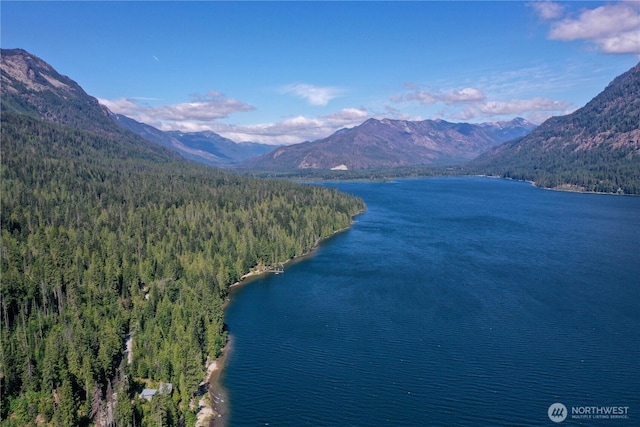 1 Cedar Brae Rd, Leavenworth, WA 98826 - photo 10