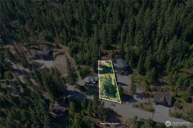 1 Cedar Brae Rd, Leavenworth, WA 98826 - photo 14