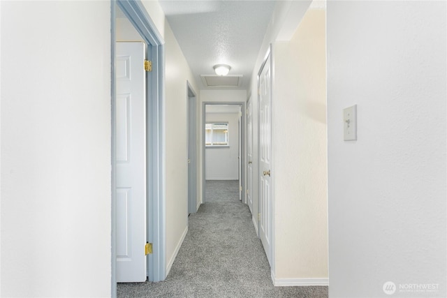 6111 S Thompson Ave, Tacoma, WA 98408 - photo 13