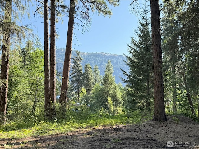 41TBD Davelaar Dr, Mazama, WA 98833 - photo 1