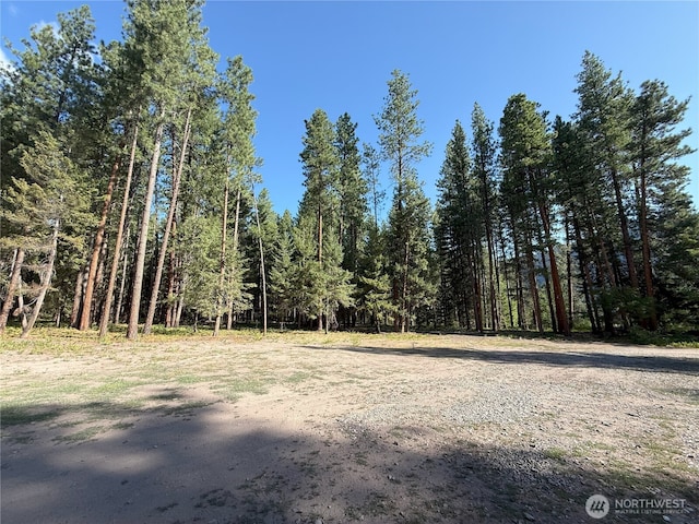 41TBD Davelaar Dr, Mazama, WA 98833 - photo 2