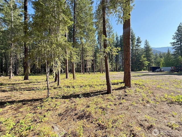 41TBD Davelaar Dr, Mazama, WA 98833 - photo 3