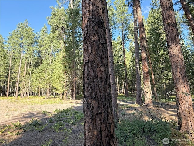 41TBD Davelaar Dr, Mazama, WA 98833 - photo 4