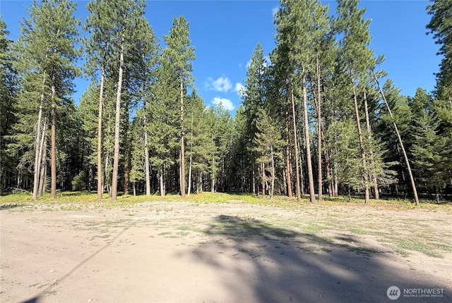 41TBD Davelaar Dr, Mazama, WA 98833 - photo 5