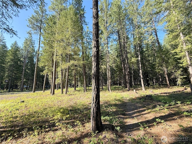 41TBD Davelaar Dr, Mazama, WA 98833 - photo 8