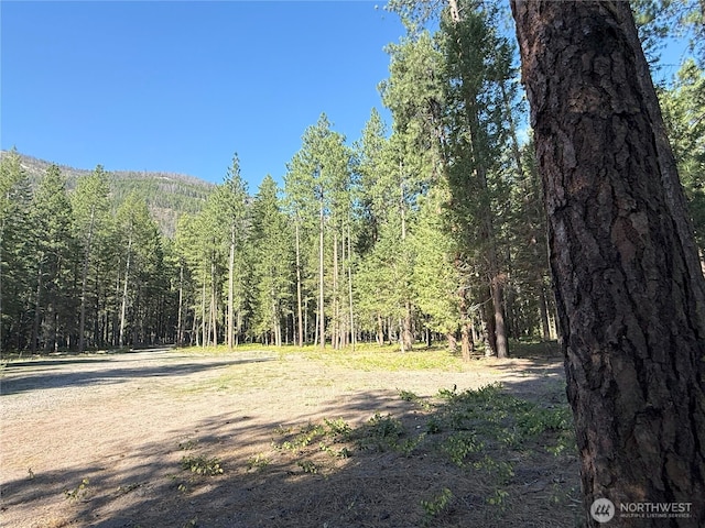 41TBD Davelaar Dr, Mazama, WA 98833 - photo 9