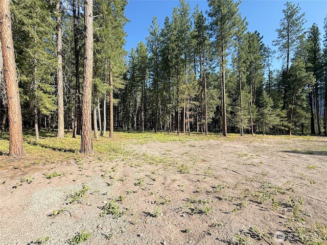 41TBD Davelaar Dr, Mazama, WA 98833 - photo 10