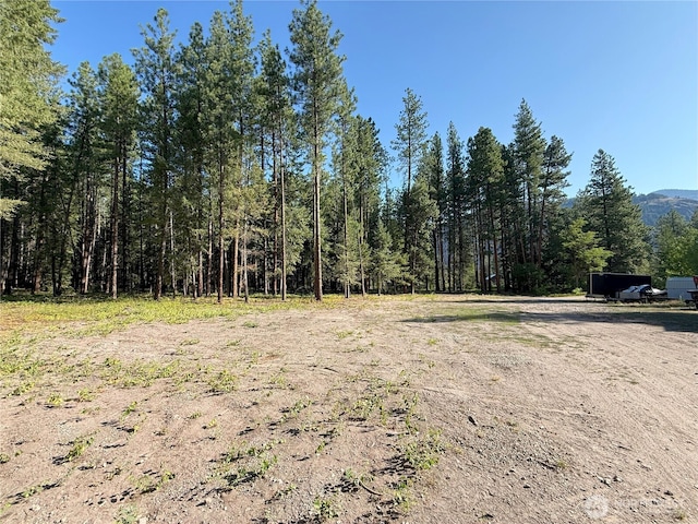 41TBD Davelaar Dr, Mazama, WA 98833 - photo 11
