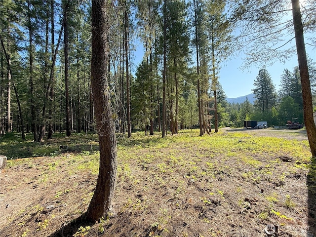 41TBD Davelaar Dr, Mazama, WA 98833 - photo 12