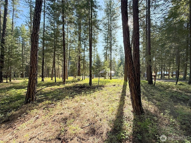 41TBD Davelaar Dr, Mazama, WA 98833 - photo 15