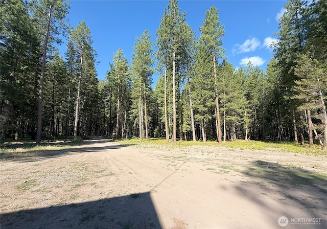 41TBD Davelaar Dr, Mazama, WA 98833 - photo 16