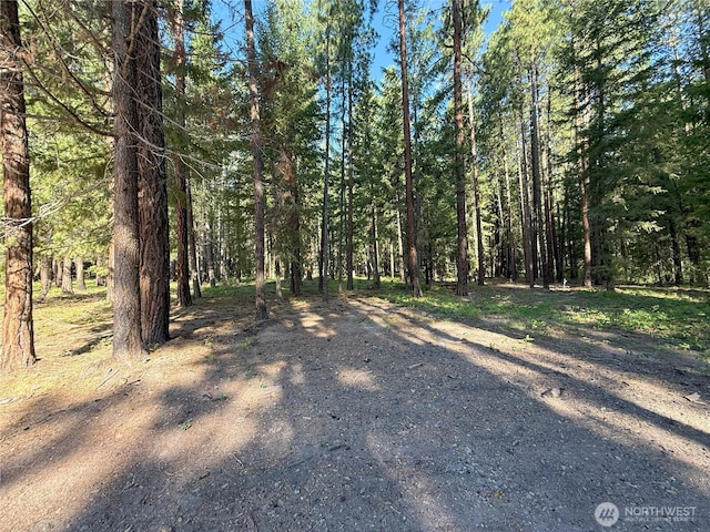 41TBD Davelaar Dr, Mazama, WA 98833 - photo 18