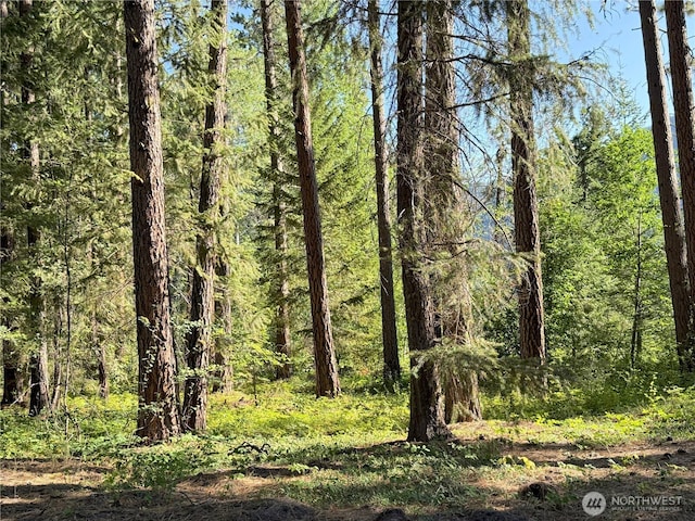 41TBD Davelaar Dr, Mazama, WA 98833 - photo 19