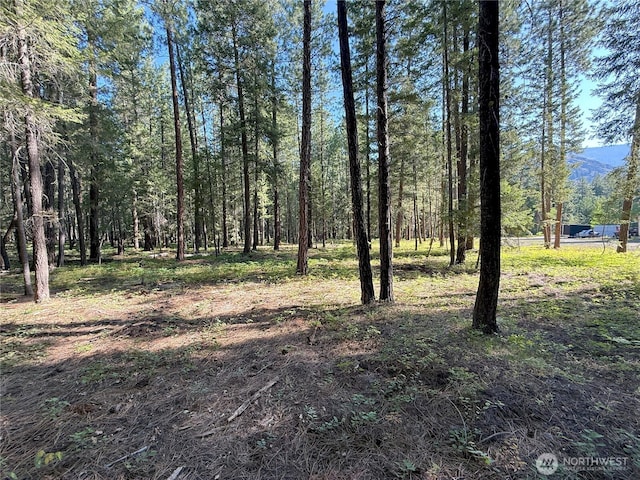 41TBD Davelaar Dr, Mazama, WA 98833 - photo 20