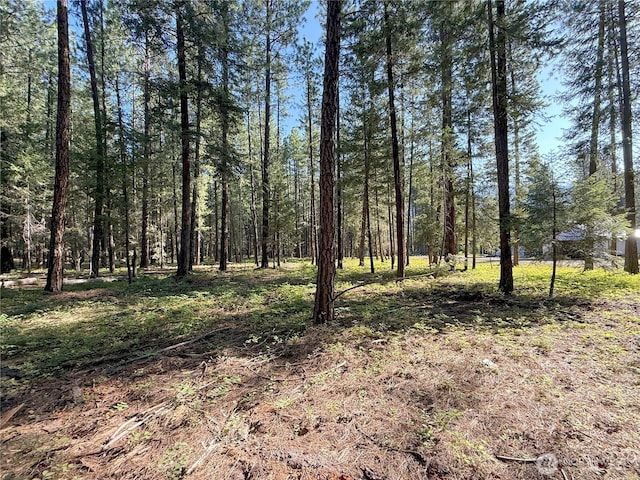 41TBD Davelaar Dr, Mazama, WA 98833 - photo 21