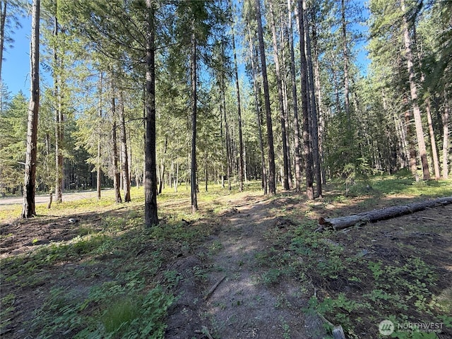 41TBD Davelaar Dr, Mazama, WA 98833 - photo 24