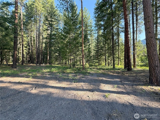 41TBD Davelaar Dr, Mazama, WA 98833 - photo 25