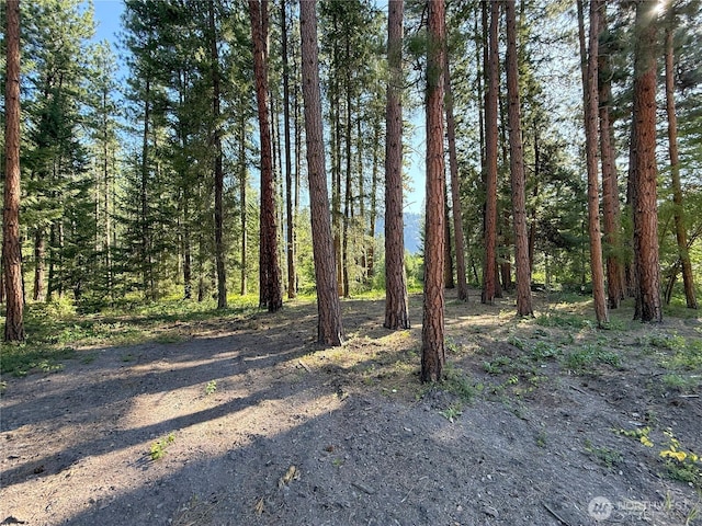 41TBD Davelaar Dr, Mazama, WA 98833 - photo 26