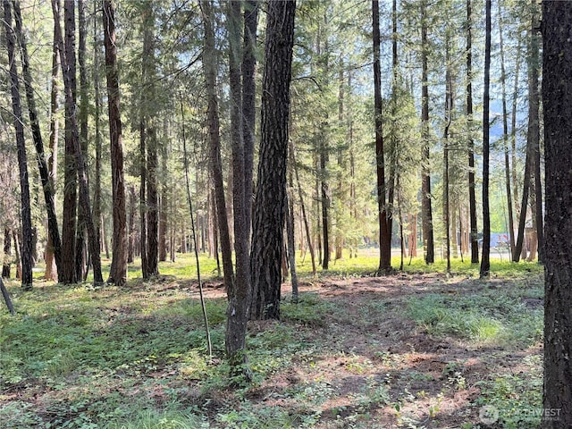 41TBD Davelaar Dr, Mazama, WA 98833 - photo 28