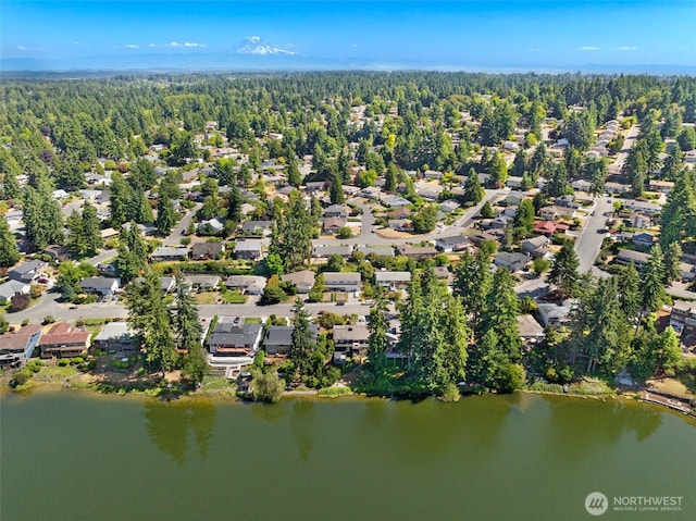 32643 39th Pl SW, Federal Way, WA 98023 - photo 9