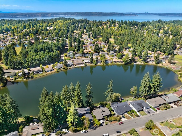 32643 39th Pl SW, Federal Way, WA 98023 - photo 10
